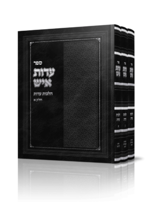 עדות איש - הרב אייל שרגא | הוצאת ספרים טקסט רץ הוצאה לאור