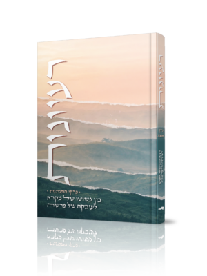 רעיונות